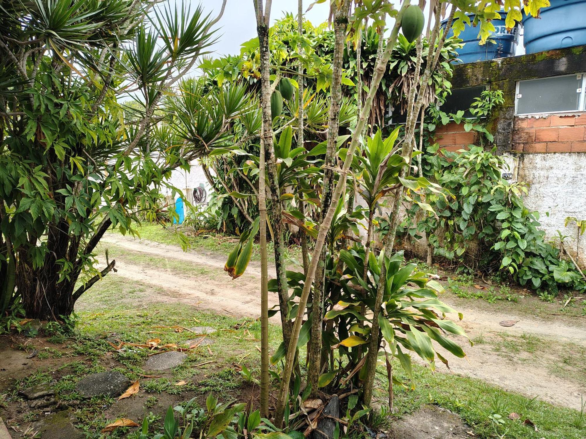 Pousada Lambaris Pereque Guaruja Guarujá Exterior foto